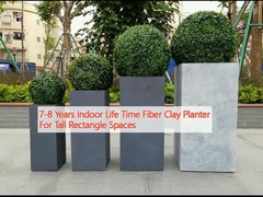 7-8 Anos Tempo de vida interior Plantação de argila de fibra para espaços retangulares altos