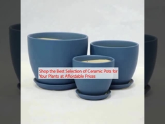 Compre a melhor seleção de vasos de cerâmica para suas plantas a preços acessíveis