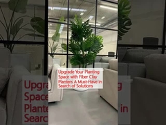 Melhore seu espaço de plantação com plantações de argila de fibra Uma necessidade na busca de soluções