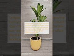 Vasos de flores amarelos únicos: Padrões distintos de casca de melão em vasos redondos de fibra de argila, leves, duráveis, de baixa manutenção, decoração para férias, escritório, jardins de cobertura e projetos de paisagismo.