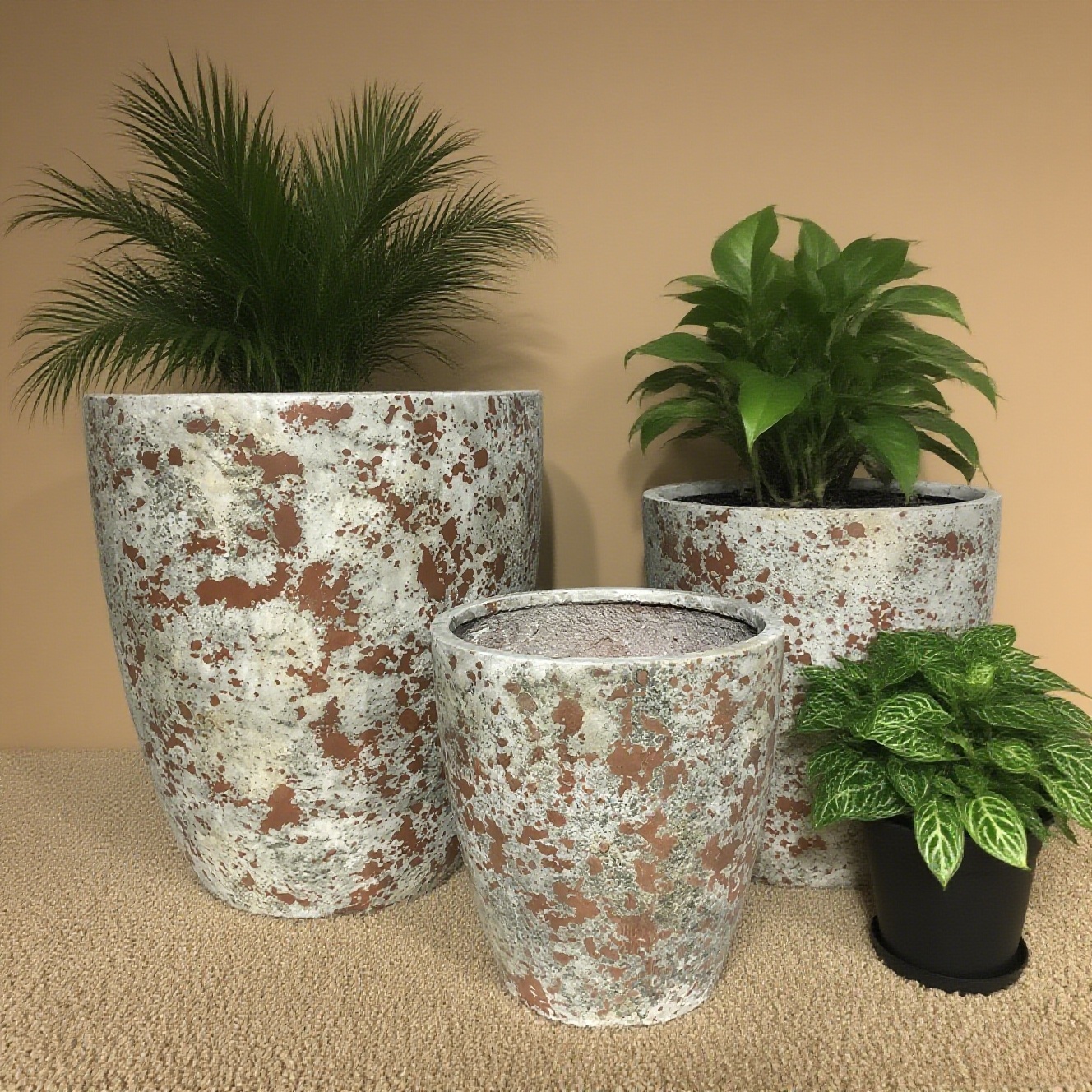Últimos blogs da empresa sobre Potes de flores de cimento. Plantar estilo industrial vintage para a vida.