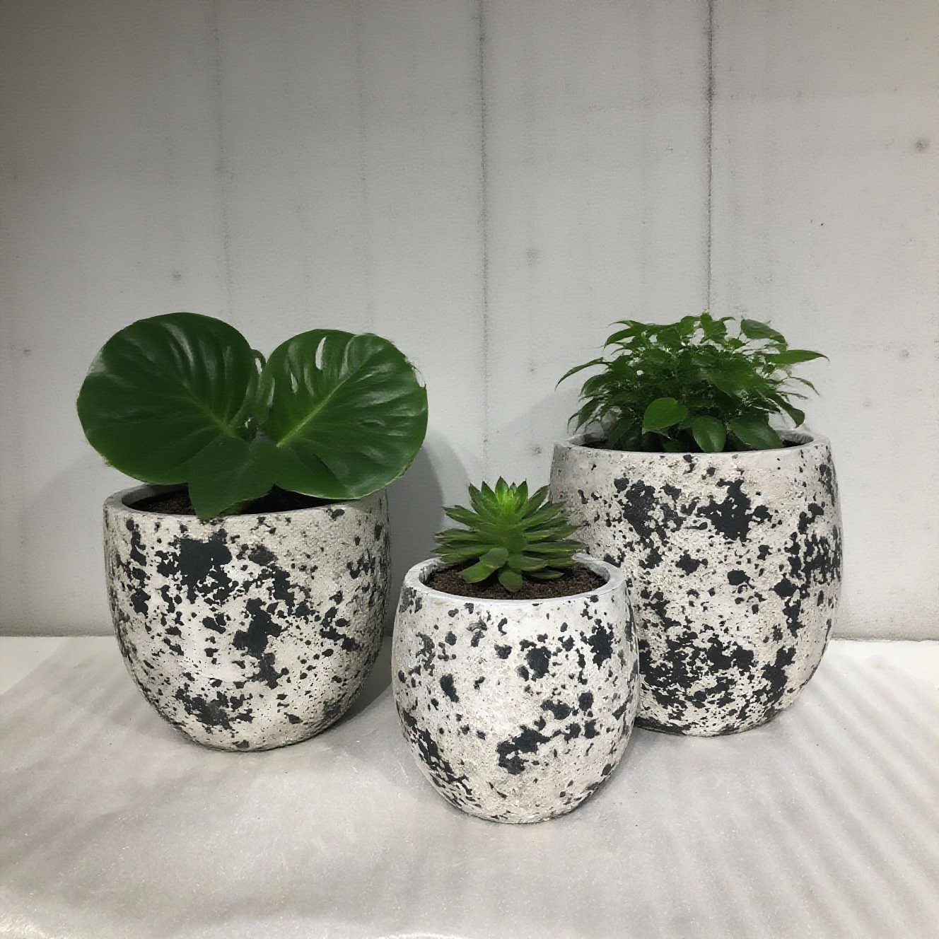 Últimos blogs da empresa sobre Potes de flores de cimento. Plantar Fragmentos de Galáxia para a vida.