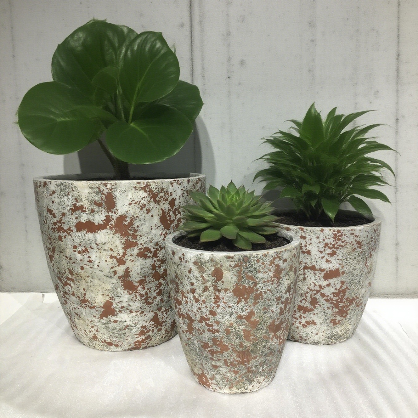 Últimos blogs da empresa sobre Potes de flores de cimento. Plantar a natureza selvagem para a vida.