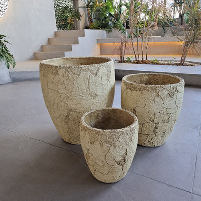 comprar Plantação resistente ao gelo esculpida à mão para plantas de flores / verdes online manufacture