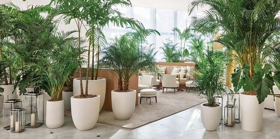 comprar Potes de flores de fibra de vidro impermeáveis Potes de plantas de resina FRP para decoração online manufacture