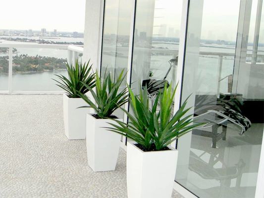 comprar Potes de plantação de flores de fibra de vidro quadrada para interiores e exteriores online manufacture