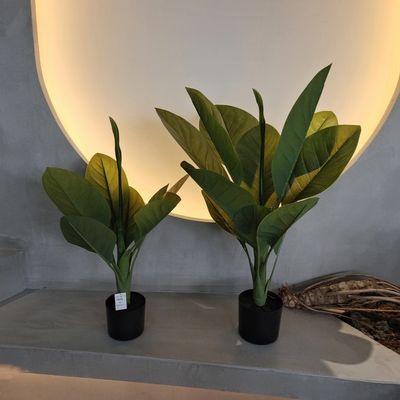 comprar Material plástico duradouro Plantas artificiais 70cm Árvore Dieffenbachia artificial online manufacture
