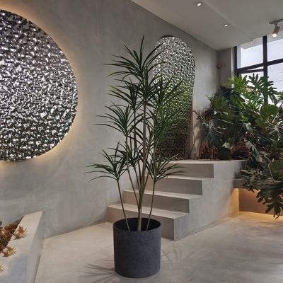 comprar Planteiras redondas de plástico reciclado leves para plantar sementes online manufacture
