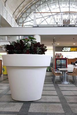 comprar Plantadores de fibra de vidro para decoração interna e externa online manufacture