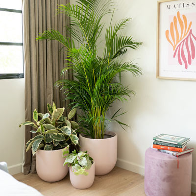comprar Fibra de vidro vasos de flores de peso leve caixa de plantação GRP para decoração exterior interior online manufacture