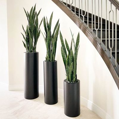 comprar Obtenha as melhores ofertas em vasos de fibra de vidro duráveis e elegantes para o seu jardim online manufacture