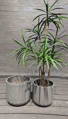 comprar Planta de argila de fibra redonda resistente à geada online manufacture