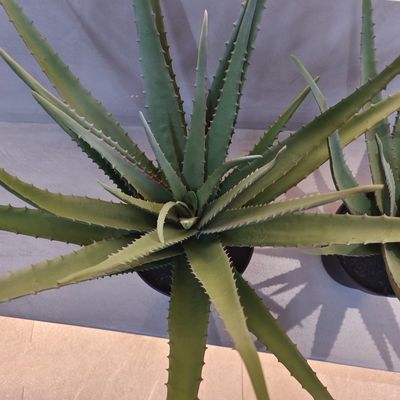 Planta de Aloe de plástico realista Indoor Outdoor Artificial Aloe Vera Faux Decoração de vegetação
