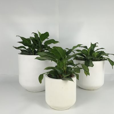 Planteadores de concreto de jardim leves para decoração interna e externa