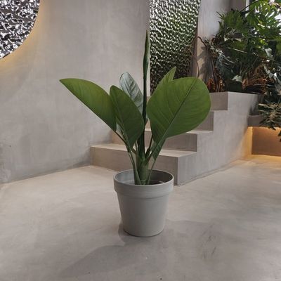 Potes de jardim de plástico ecológico vibrante à prova d'água 250*175*230MM