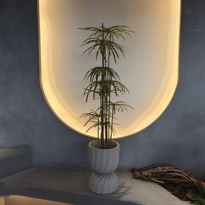 Plantas falsas de plástico resistentes aos raios UV Árvore Graptopetalum artificial