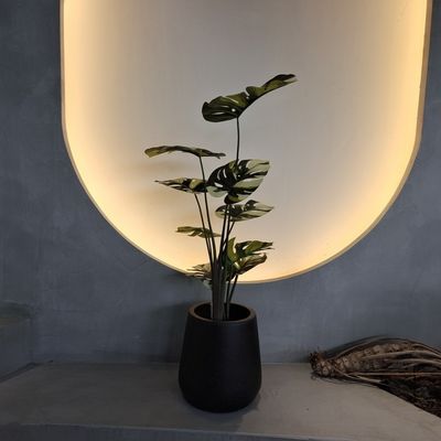 Insecto Resistente Falso Monstera Árvore 70-100cm Para decoração de baixa manutenção