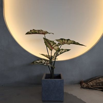 Plantas artificiais de plástico verde 70-120cm para decoração interna / externa