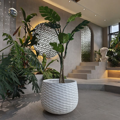 Plantadores de argila resistentes ao desgaste para espaços de escritório na sala de estar