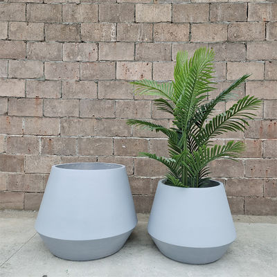 Planta de fibra de argila de bela fabricação para a sua coleção de vegetação