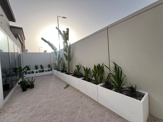 Planteiros de fibras de argila revestidos com pó