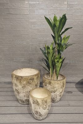 Pato de jardim de telhado leve e durável